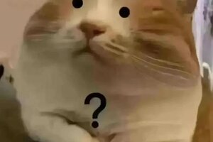 《古代战争》【新区公告】费伦-圣光净土（安卓IOS混服）来袭！