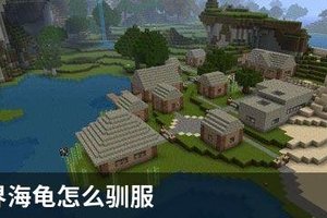 我的世界海龟怎么驯服