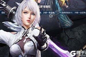 下载官方最新版《圣域传奇》 坐等万人新服开启