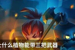 元气骑士什么植物能带三把武器