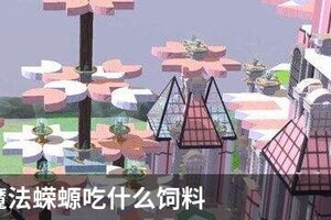创造与魔法蝾螈吃什么饲料