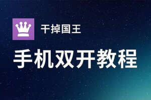 干掉国王双开挂机软件推荐  怎么双开干掉国王详细图文教程