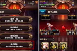 卡牌养成全攻略
