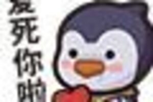 《快来当领主》【元旦福利】雪球2025年终总结报告——