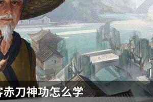 我的侠客赤刀神功怎么学