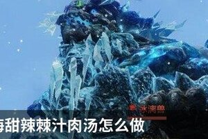 妄想山海甜辣棘汁肉汤怎么制作