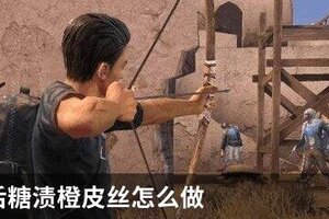 明日之后糖渍橙皮丝怎么做