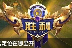 王者荣耀定位在哪里开