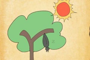 最囧游戏3第35关怎么过？最囧游戏3第35关攻略