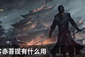 我的侠客赤菩提有什么用