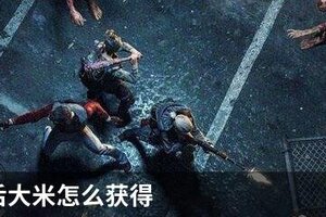明日之后大米怎么获得
