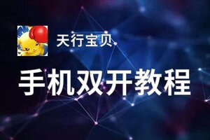 天行宝贝双开神器 轻松一键搞定天行宝贝挂机双开