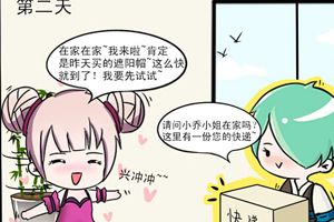【王者荣耀漫画】失败的网购！