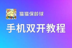 猫猫保龄球挂机软件&双开软件推荐  轻松搞定猫猫保龄球双开和挂机