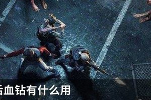 明日之后血钻有什么用
