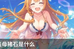 公主连结母猪石是什么