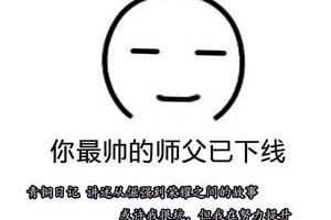 【青铜日记】辅助的父爱如山