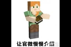 我的世界：人在家中躺，铁锭天上来~