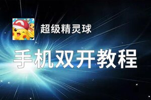 超级精灵球挂机软件&双开软件推荐  轻松搞定超级精灵球双开和挂机