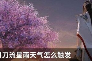 天涯明月刀流星雨天气怎么触发