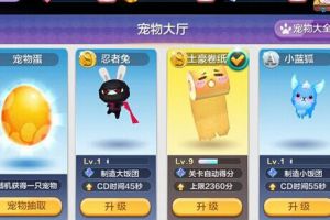 跑高分必选高分杀戮套装