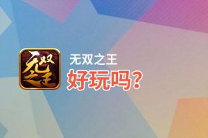 无双之王好玩吗？无双之王好不好玩评测