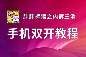 胖胖裤猪之内裤三消如何双开 2020最新双开神器来袭