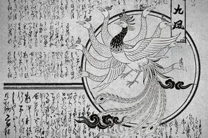 《山海镜花》山海万国志丨九凤