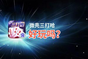 微壳三打哈好玩吗？微壳三打哈好不好玩评测