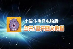 小猫斗毛怪怎么双开、多开？小猫斗毛怪双开助手工具下载安装教程