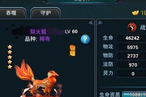 宠物进阶介绍