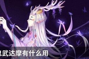 阴阳师鬼武达摩有什么用