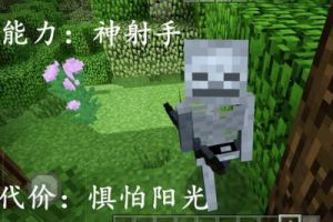 如果拥有《我的世界》怪物的“能力”，玩家：我有个大胆的想法！