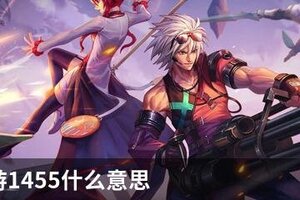 DNF手游1455什么意思