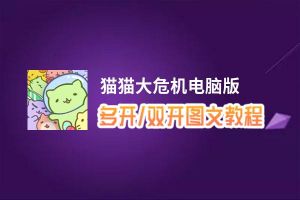 猫猫大危机怎么双开、多开？猫猫大危机双开助手工具下载安装教程