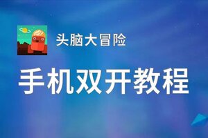 头脑大冒险挂机软件&双开软件推荐  轻松搞定头脑大冒险双开和挂机