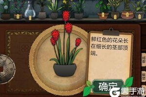 《奇异园艺》剧情植物介绍