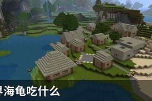 我的世界海龟吃什么