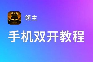 领主怎么双开  领主双开挂机软件推荐