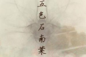 《天龙八部手游》主题曲翻唱大赛开启 古风顶级唱将云集