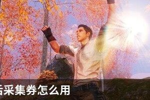 明日之后采集券怎么用