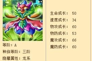 女王贵妇技能加点推荐攻略