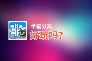 半猫分离好玩吗？半猫分离好不好玩评测