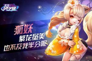 B阶宠物对比分析