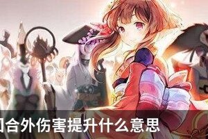 阴阳师回合外伤害提升什么意思