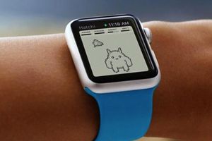 电子宠物 《复古宠物》将支持Apple Watch