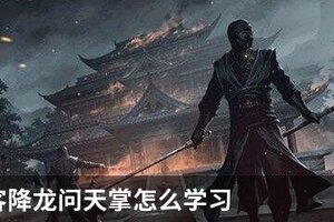我的侠客降龙问天掌怎么学习