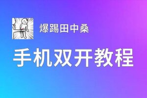 怎么双开爆踢田中桑？ 爆踢田中桑双开挂机图文全攻略