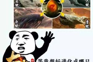 开局一条鲲 37《太极崛起》神鲲现世邀你来战