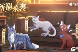 《猫之城》版本预告 | 新猫来袭